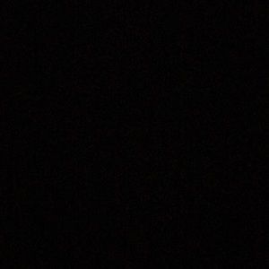 Meet your Posher, Lizzy